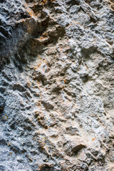 Limestone rock, with some plants growing on it