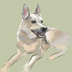 Sketch - lying dog. Digital illustration