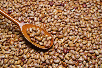 Kidney beans scattered close-up with a spoon.