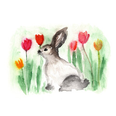 watercolor rabbit in tulips, easter bunny with flower arrangement. easter and spring greeting card