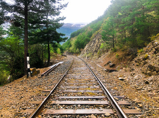 Mountain railroad tracks