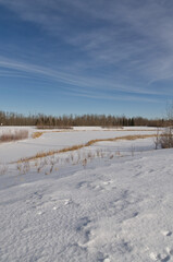 Pylypow Wetlands in the Winter