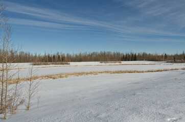 Pylypow Wetlands in the Winter