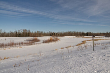 Pylypow Wetlands in the Winter