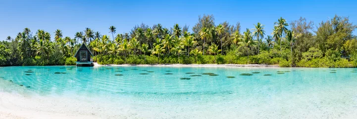 Poster Tropisch eiland met palmbomen als panoramaachtergrond © eyetronic