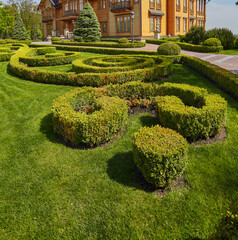 Beautiful summer garden with a walkway