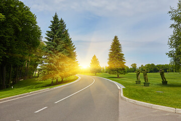 Fototapeta premium The paved road up the side of the trees, a freight train on a Sunny day