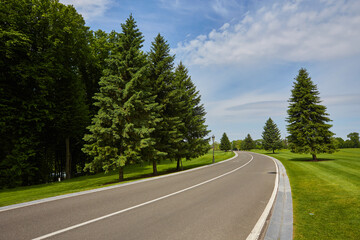 The paved road up the side of the trees, a freight train on a Sunny day