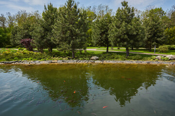Evening landscape on the banks of the river in the park.