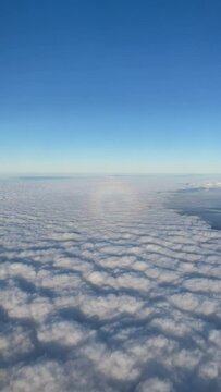 View from the window of the aircraft on clouds and a circular rainbow at sunny day