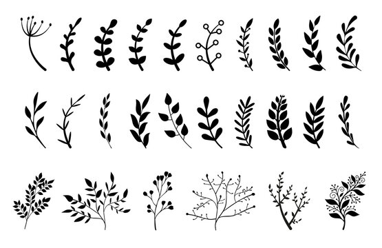 Hand drawn branches with leaves and flowers vector icon