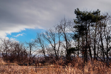 Spring dirt road. There is dry grass around the road. There are dramatic clouds in the sky.