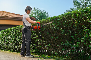 Strong caucasian man in uniform, safety gloves and mask pruning hedge with petrol trimmer. Male...