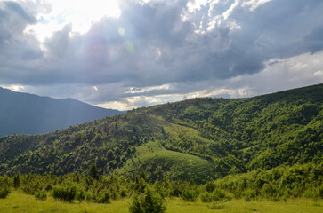 Beautiful summer Carpathian mountains landscape with grassy valley and hillsides covered with mixed forest