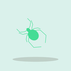 Spider vector icon illustration sign