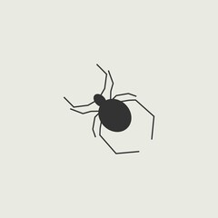 Spider vector icon illustration sign