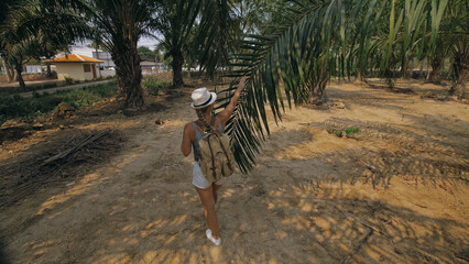 Woman tourist with plait walks looking around at growing young trees with lush leaves at oil palm...