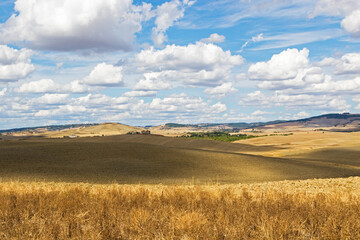Panorama on Tuscany, hills in summer time under a cloudy sky