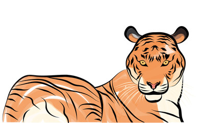 Sitting colored chinese tiger with details Vector