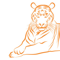 Isolated golden outlines of a sitting tiger Vector