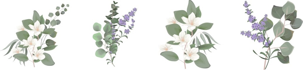 Vector set for floral design. Lavender flowers, white sakura, magnolia, eucalyptus, green plants and leaves. Floral arrangements on a white background