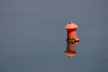 lantern on the water