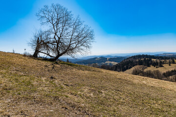 Beautiful landscape of mountains at sunny morning