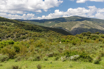 Fototapeta na wymiar Enciso dinosaur tracks route, La Rioja, Spain.