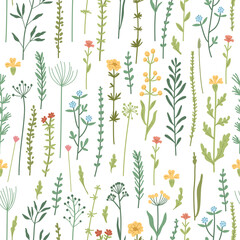 Seamless floral pattern with hand drawn plants, leaves, wild flowers. Perfect for fabric design, wallpaper, apparel. Vector illustration. Collection of wild meadow herbs, flowering flowers - 487220417