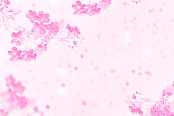Fototapeta na wymiar Blossoming branch cherry. Bright colorful spring flowers