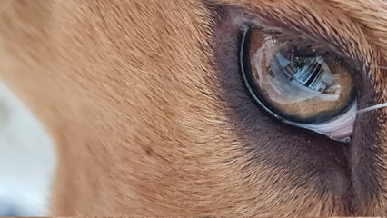 close up of a eye