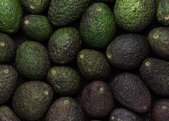 Avocados in different rippening stages in cenital closeup frame 