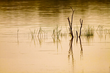 The reflection of the water surface reflects the surrounding nature.