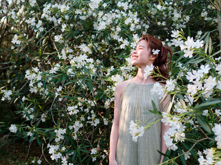 Portrait of young Asian woman standing in white oleander flower forest background, beautiful...