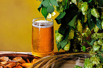 Glass of beer, hop cones, ears of barley