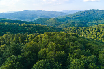 Fototapeta na wymiar Aerial view of mountain hills covered with dense green lush woods on bright summer day.