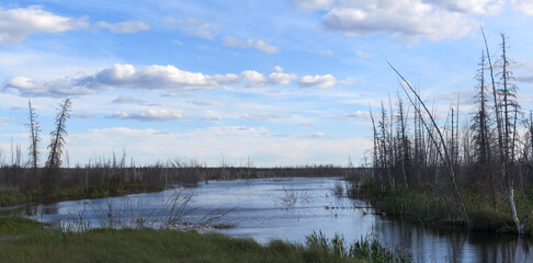 Morning in the tundra of Canadian Northwest Territories