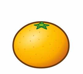 新鮮な美味しいみかん