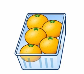 新鮮な美味しいみかん