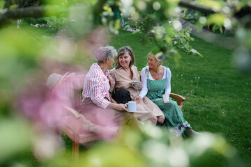 Happy senior women friends sitting on bench and drinking tea outdoors in garden, laughing.