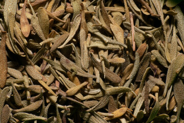 Arimatic Thyme spices or condiments. Close up textures on thyme leafs.