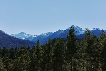 mountain forest blue sky sunny day nature landscape Adventures