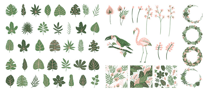 Big set of tropical leaves, flowers, birds, wreaths and patterns in hand drawn style