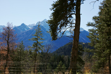 mountain forest panorama open air summer vacation Adventures
