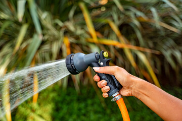 woman taking care of her garden at home watering the plants