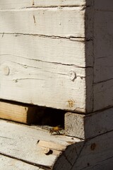 old wooden door