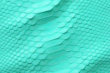 light green snake skin, natural python texture