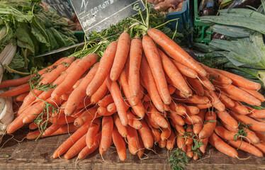 A large bunch of freshly harvested, orange carrots for sale at a Farmer's Market.