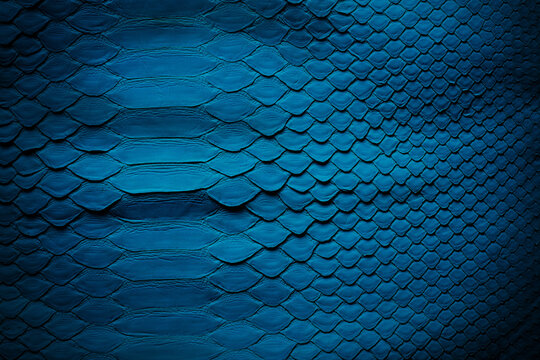 blue snake skin texture. abstract blank background