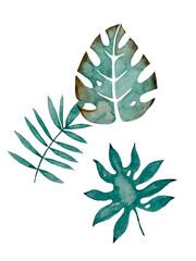 Green tropical leaves hand-drawn in watercolor on a white background.